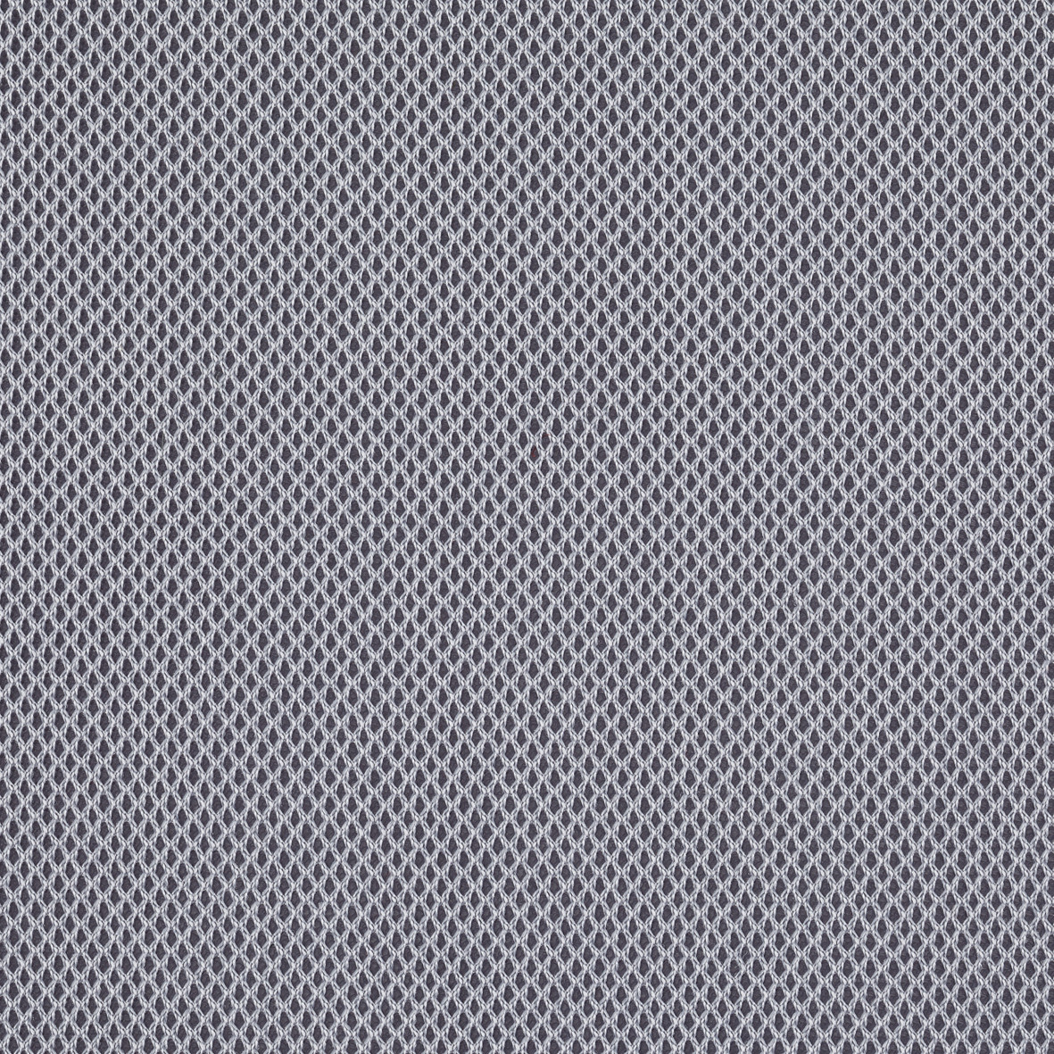 Harlequin_60126