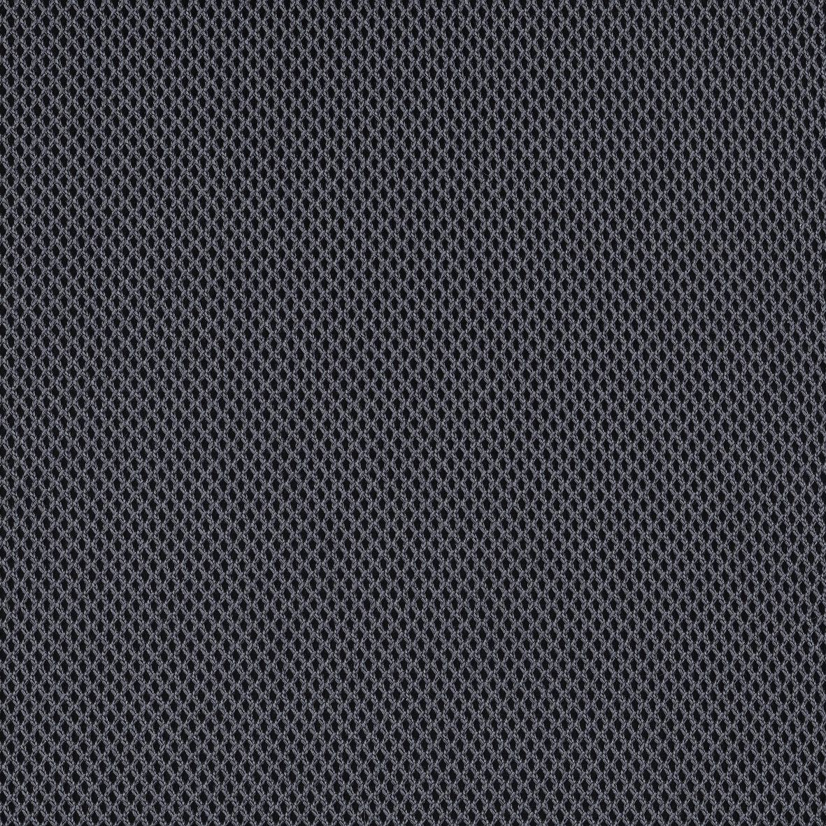Harlequin_60166